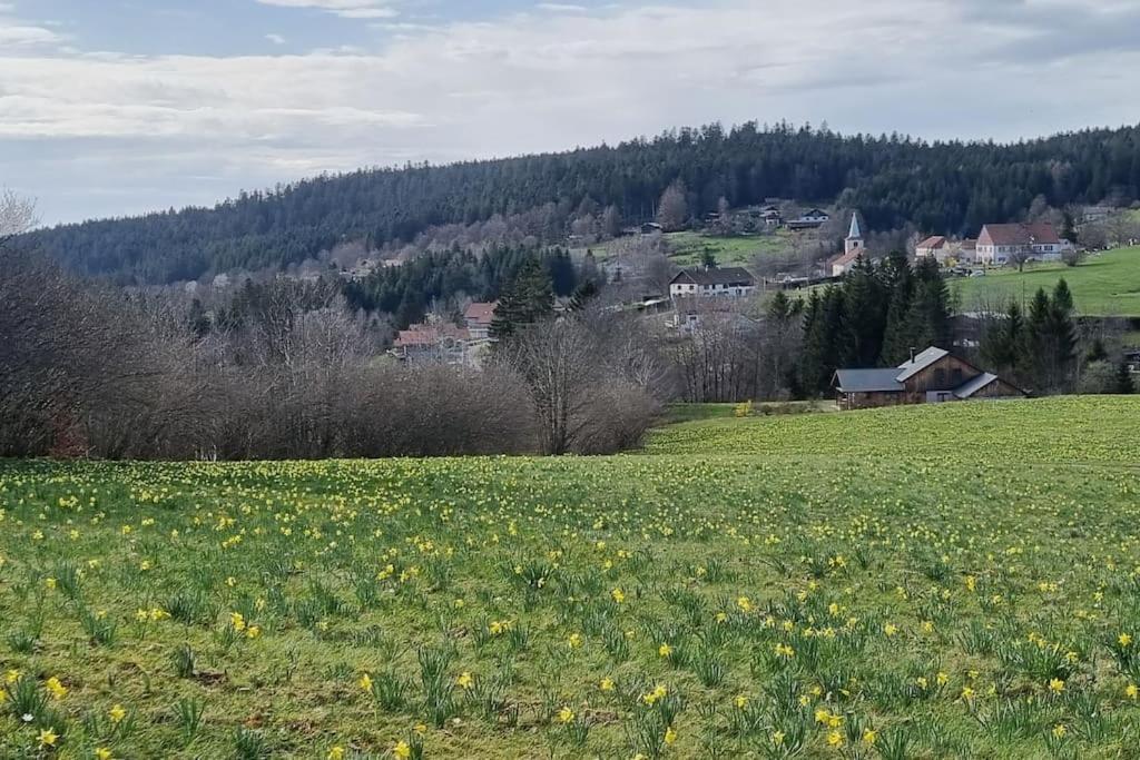 Le Grenier De Jules Et Marguerite Villa Liezey Exterior photo
